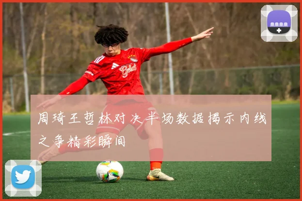 周琦王哲林对决半场数据揭示内线之争精彩瞬间