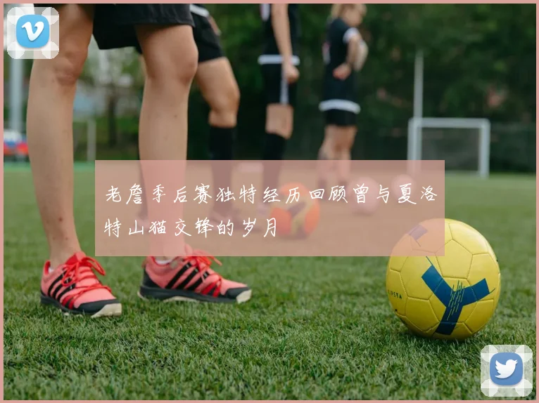 老詹季后赛独特经历回顾曾与夏洛特山猫交锋的岁月
