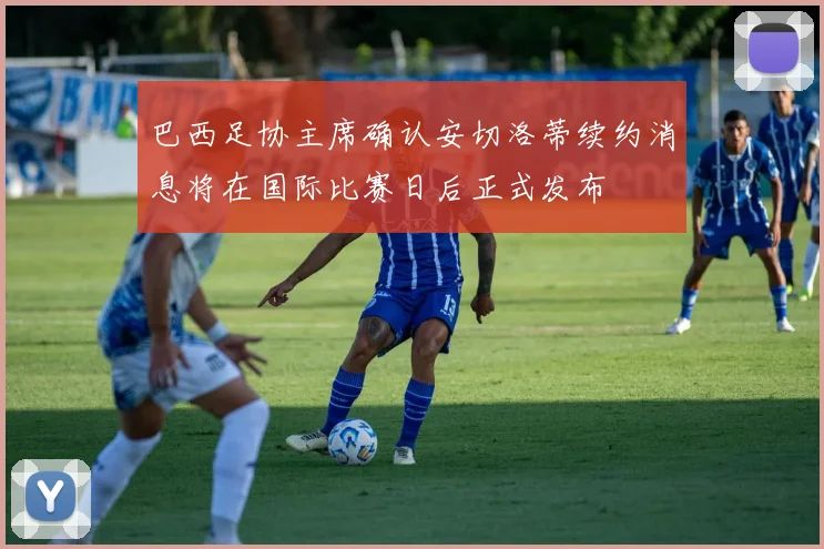 巴西足协主席确认安切洛蒂续约消息将在国际比赛日后正式发布