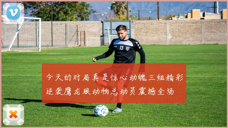 今天的对局真是惊心动魄三组精彩逆袭鹰龙狼动物总动员震撼全场